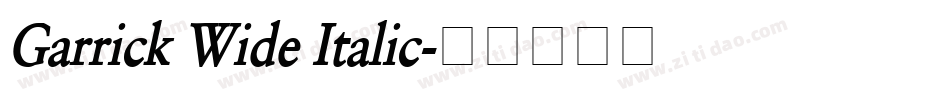 Garrick Wide Italic字体转换